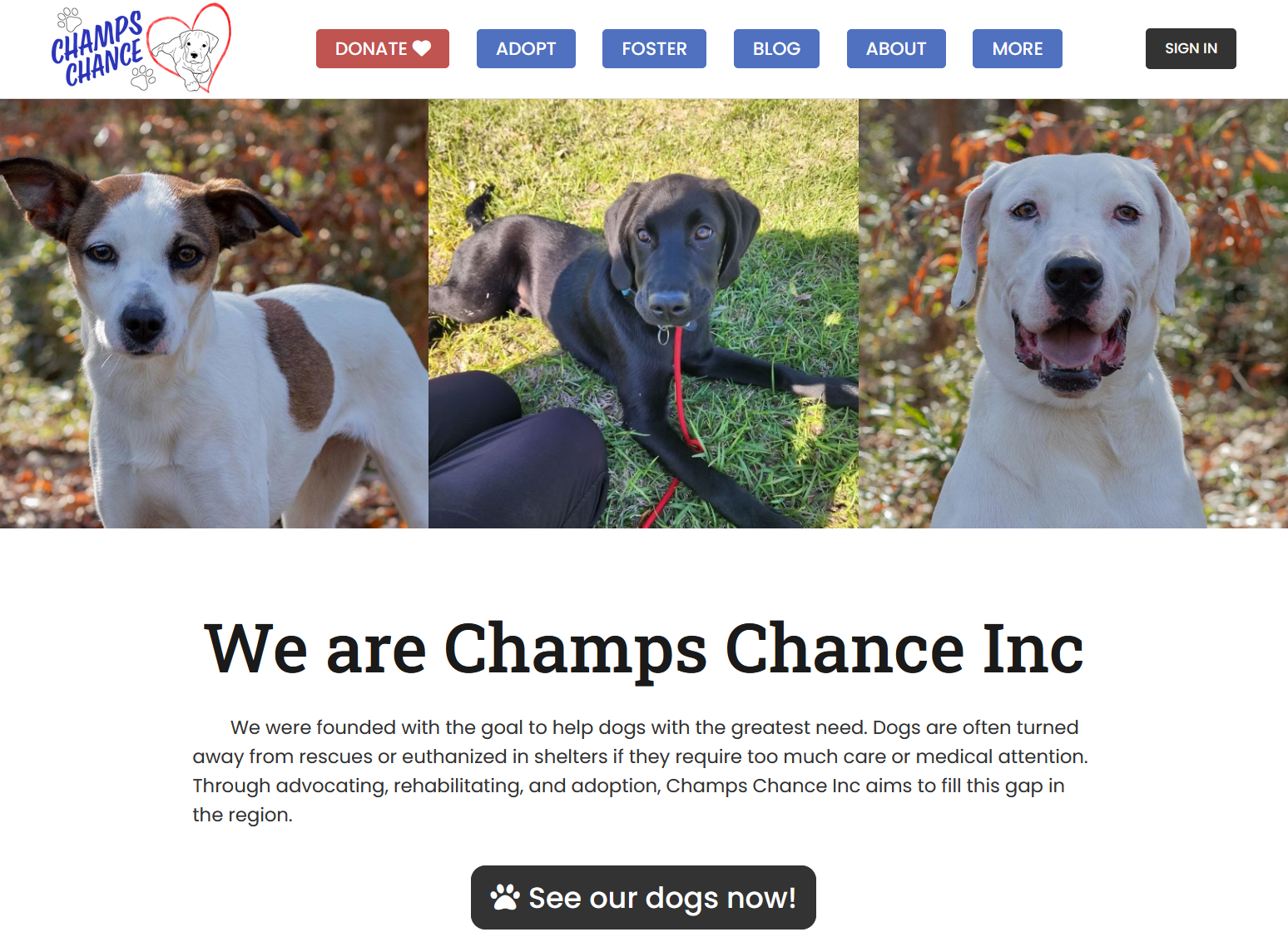 Screenshot of Champs Chance website.