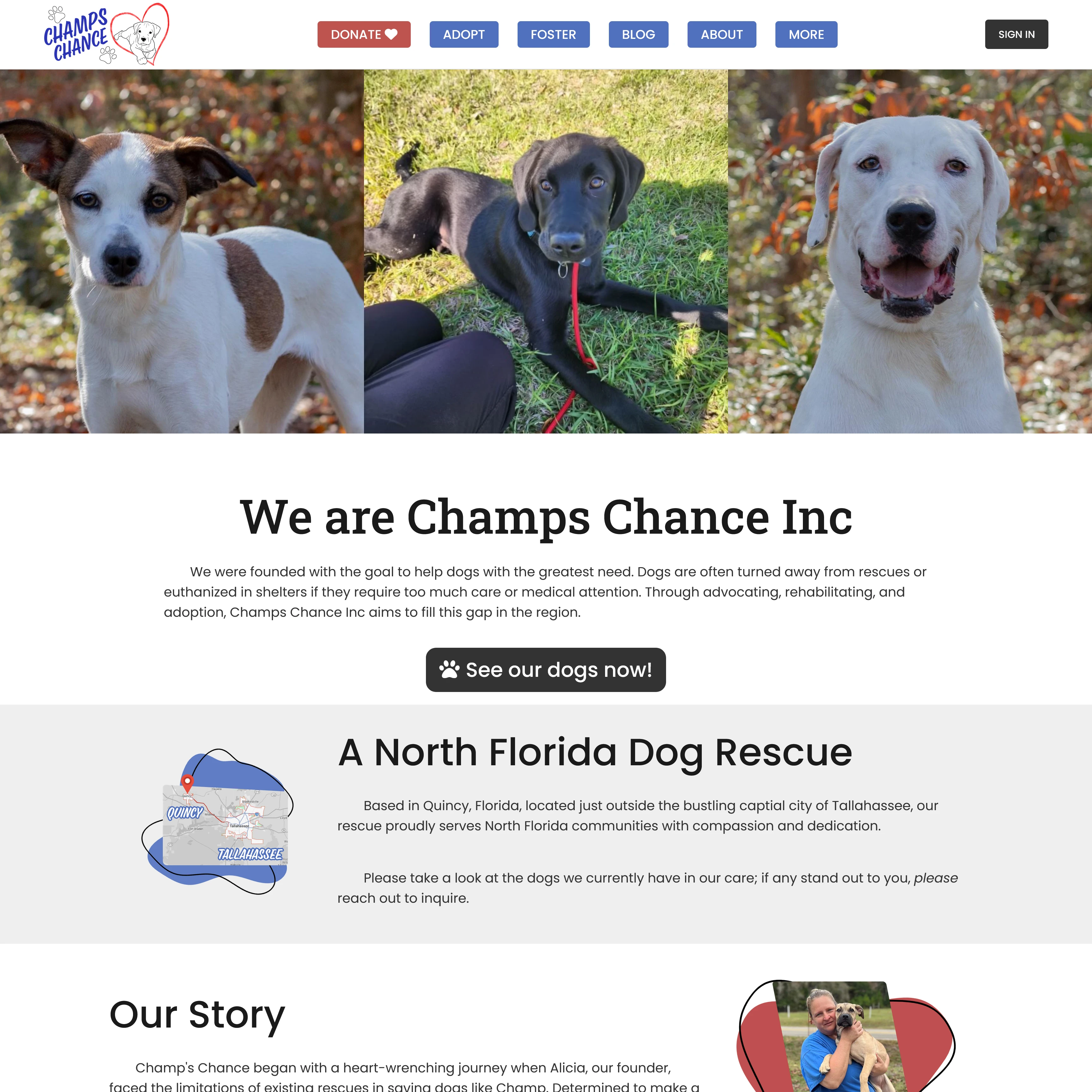 Screenshot of Champs Chance website